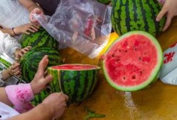 高中吃瓜视频,揭秘校园生活那些事儿