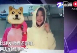 抖音狗头视频吃瓜,揭秘网络热梗背后的趣味与思考