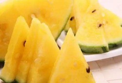 最好看的吃瓜视频,笑料百出，精彩纷呈！