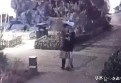 南澳吃瓜事件真相视频