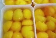 吃瓜罐头做法大全视频,吃瓜罐头制作攻略大揭秘