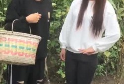 近期美女吃瓜事件视频,网络热议背后的真相揭秘