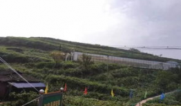 云门山植物园吃瓜事件视频,一场引发热议的公共道德风波