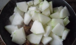 鸡瓜怎么吃才好吃视频,视频教你轻松烹饪佳肴