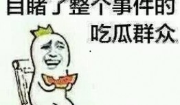 吃瓜群众刘小倩视频在线观看,揭秘娱乐圈幕后故事