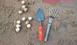 吃瓜工具铲子怎么用的视频,一招学会吃瓜工具铲子的正确使用方法