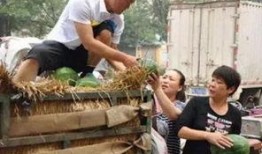 利川市吃瓜事件视频,一场引发热议的网络风波