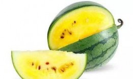 果瓜怎么吃呢好吃视频,视频教你轻松享美味