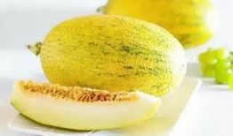 黑人阿姨吃哈密瓜视频,甜蜜瞬间引网友热议