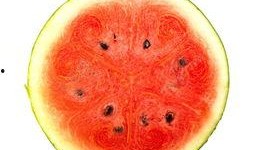 吃瓜视频头像图片高清,高清吃瓜视频头像，带你领略视觉盛宴