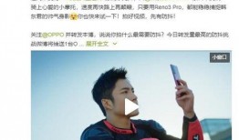 双人挑战吃瓜视频,甜蜜互动，瓜果飘香