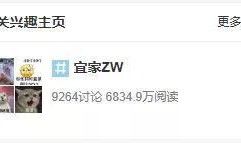 宜家吃瓜视频获取,揭秘家居界的“幕后故事”