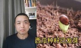 有一对小情侣吃瓜视频,甜蜜互动引网友热议
