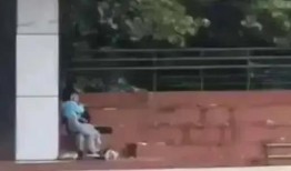 学校吃瓜事件视频,视频揭露惊人内幕