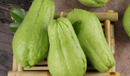 贺子吃佛手瓜的视频,美味与健康的完美邂逅