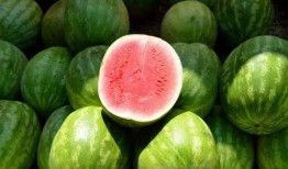 一瓜两吃的西瓜视频,西瓜视频带你解锁夏日美食新境界