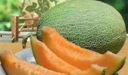 新疆吃哈密瓜烤馕视频大全,哈密瓜烤馕视频大全，尽享丝路美食之旅