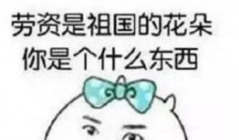 半夜吃瓜顺口溜搞笑视频,顺口溜视频带你领略欢乐时光