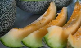 带你吃瓜野钓视频大全,带你领略带你吃瓜视频大全的钓鱼魅力