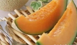 萌宠吃哈密瓜视频大全,哈密瓜盛宴视频大盘点