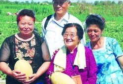 三位教授吃瓜视频,趣味横生，知识碰撞