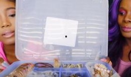 百变阿姨吃瓜最新视频,揭秘娱乐圈幕后故事