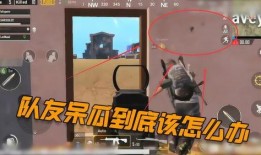 吃鸡呆瓜视频,趣味横生的搞笑吃鸡日常