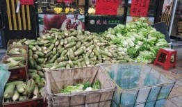 聚众吃瓜视频素材大全,聚众吃瓜视频素材大全盘点