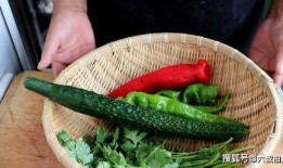 最新吃瓜老虎菜视频大全,趣味横生，笑料百出！