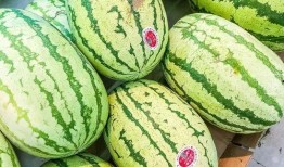 4个吃瓜视频,揭秘网络热点背后的故事