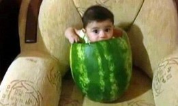 qq吃瓜黄料视频图文,图文并茂的娱乐圈幕后故事