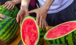 京都大学吃瓜视频,揭秘校园生活趣味瞬间