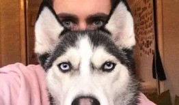 二哈搞笑视频带你吃瓜