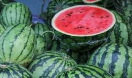 新疆的吃瓜事件视频,一场误会引发的舆论风波