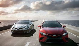 凯美瑞吃瓜视频