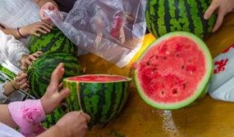 高中吃瓜视频,揭秘校园生活那些事儿