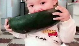 小黄小蓝吃瓜视频,揭秘娱乐圈幕后故事