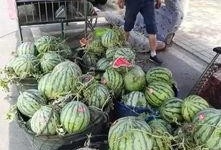 合肥新吃瓜群众事件视频,网络围观下的社会现象解析