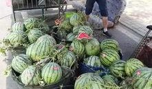 合肥新吃瓜群众事件视频,网络围观下的社会现象解析