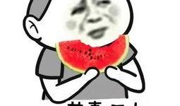 吃瓜群众刘小倩视频在线观看,揭秘娱乐圈幕后故事