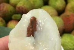 海南吃瓜放盐好吃吗视频,吃瓜放盐，别样风味体验