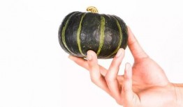 小瓜小孩子可以吃吗视频,小瓜小孩子适宜食用吗？视频揭秘儿童饮食安全