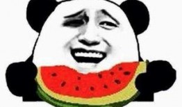 帅小伙子吃瓜群众视频,揭秘网络红人的幕后故事