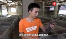 杨一帆吃瓜完整视频,揭秘娱乐圈幕后故事