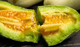 玉瓜能蒸着吃么吗视频讲解,视频详解蒸制方法与美味秘诀