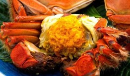 大瓜吃大螃蟹视频大全下载,海量精彩瞬间，一键下载收藏