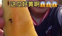 小黄小蓝吃瓜视频,揭秘娱乐圈幕后故事