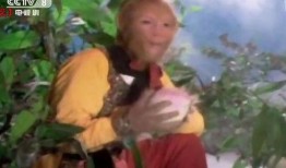 猴哥吃瓜中毒视频