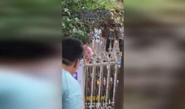 真人吃瓜群众视频,视频中的真实生活瞬间