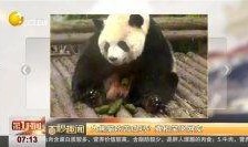 西安吃瓜笑哭视频,网友直呼“太真实！”